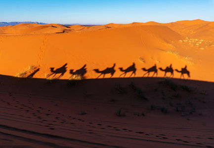 摩洛哥撒哈拉沙漠沙丘上骆驼车队的影子