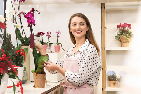 商店 开花 在室内 肖像 花农 商业 出售 植物 工作 微笑