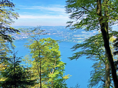 瑞士 反射 地标 全景图 风景 城市 场景 村庄 卢森 假期