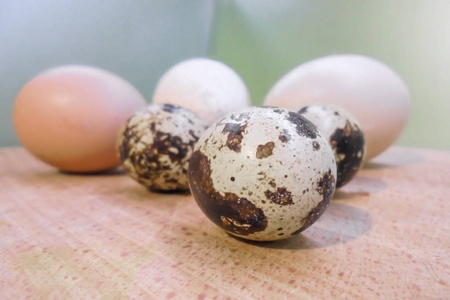 农场 食物 鸡蛋 蛋白质 烹饪 复活节 特写镜头 饮食 早餐
