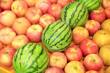 苹果和甜瓜苹果和西瓜,照片