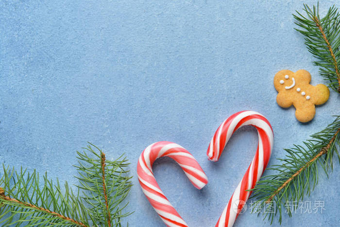 美丽的圣诞构图与糖果棒在彩色背景