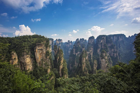 亚洲 森林 电影 薄雾 地标 风景 化身 国家的 瓷器 冒险