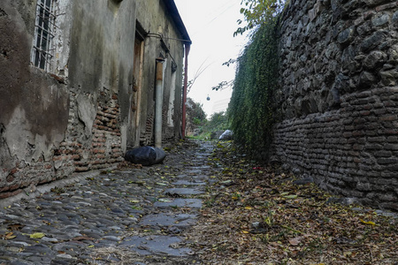 树叶 建筑 旅游业 历史的 世界 古老的 旅游 场景 旅行