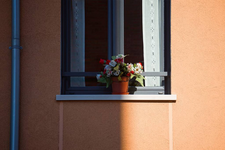 城市 街道 外观 建筑 窗口 颜色 建设 建筑学 阳台 西班牙