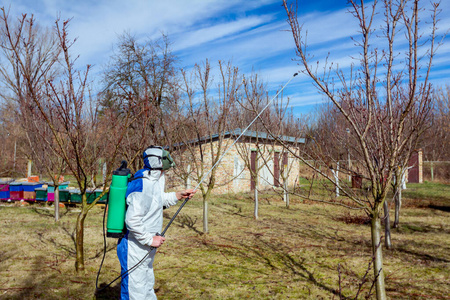 穿着防护服的园丁在果树上撒l树上的毒虫的黄蜂窝森林中绿色自然树上