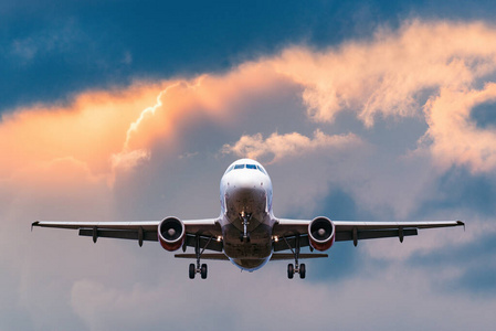 准备降落的客机图片