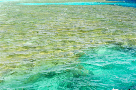 美丽的 海的 天堂 地平线 阳光 夏天 插图 日落 颜色