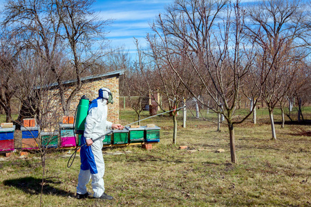 穿着防护服的园丁在果树上撒l照片