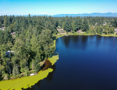 码头 藻类 伍兹 华盛顿 森林 风景 社区 天线 湖边 公园