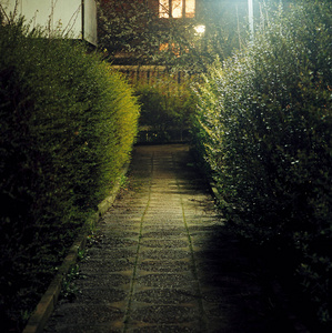 夜晚小路图片