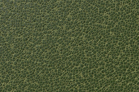 商业恐龙纹理绿色皮革破裂.抽象自然皮肤图案表面动物恐龙,鳄鱼.