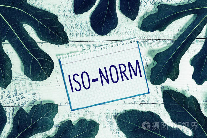 显示iso标准的文本标志概念照片一种公认的标准或做事方式大多数人