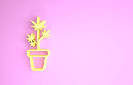 黄色医用或植物盆栽图标隔离在粉红色背景上。种植概念。盆栽植物。极简主义概念。三维插图三维渲染