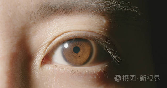 棕色眼睛的宏观拍摄