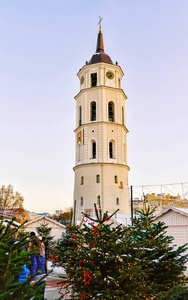 圣诞树和维尔纽斯大教堂钟楼立陶宛圣诞节反射