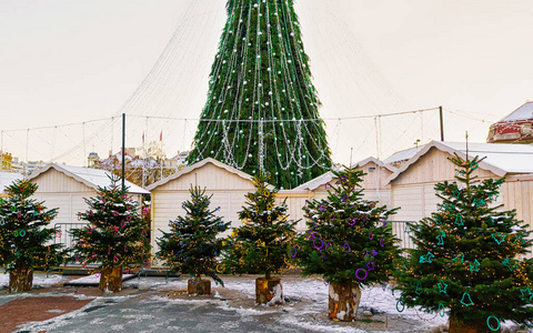 立陶宛维尔纽斯圣诞树市场的主要圣诞树反射
