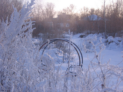 winter snow covered trees in a misty garden frozen near a metal 