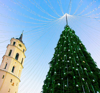 圣诞树和大教堂钟楼维尔纽斯降临立陶宛傍晚反射