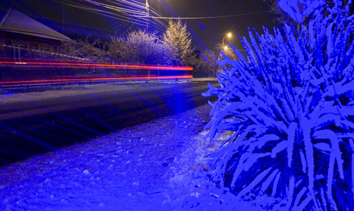 风景 傍晚 城市 寒冷的 降雪 冬天 街道 十二月 自然