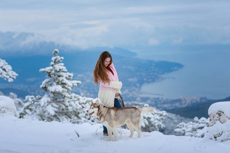 在雪山顶上养着纯种哈士奇狗的女人