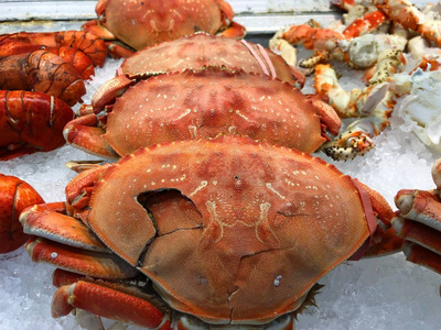 商店 午餐 自然 准备 特写镜头 抓住 市场 生的 烹调