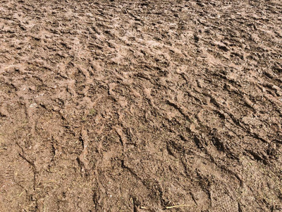 轨道 环境 地面 领域 污垢 土地 黏土 公园 地球 自然