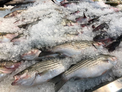 自然 行业 寒冷的 美味的 准备 特写镜头 餐厅 海的 健康