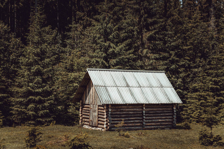 喀尔巴阡森林中的木屋