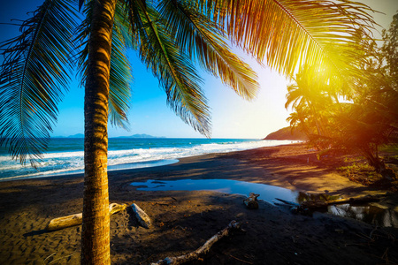 在瓜德罗普岛日落时，阳光照耀在格兰德安西海滩上