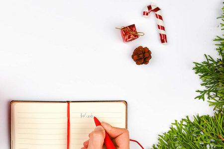 用咖啡杯写愿望。梦想目标计划列一张清单，在笔记本上写下新年圣诞的概念。女人手放在冷杉树枝的背景上新年寒假圣诞节