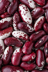 Beans of bean  beans .Texture of violet with dots beans.Beans 