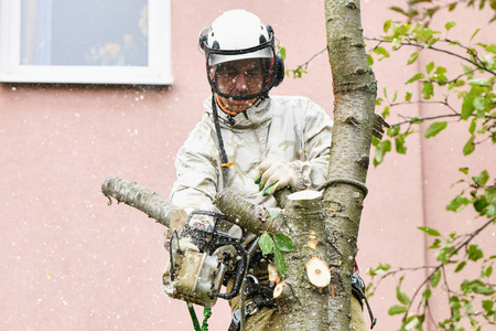 切割机和日志图片