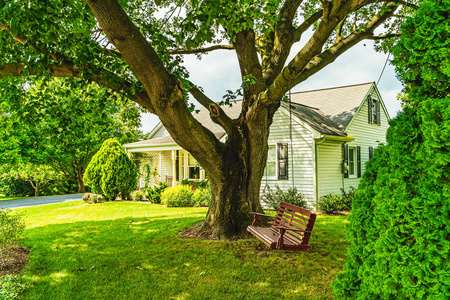 甘道什图片 甘道什素材 甘道什插画 摄图新视界