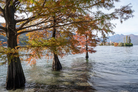 意大利马焦雷湖淹没了树木