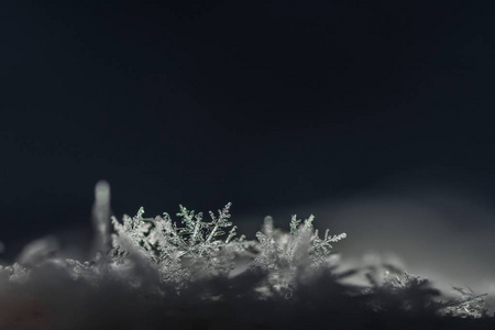 黑色发光雪晶图片