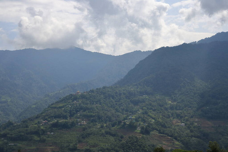 夏天 岩石 地平线 美丽的 小山 高的 天空 森林 全景图