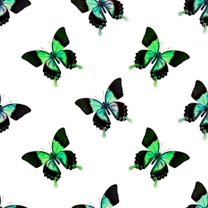 纸张 蝴蝶 美丽的 有趣的 庆祝 梦想 明星 流行的 飞行