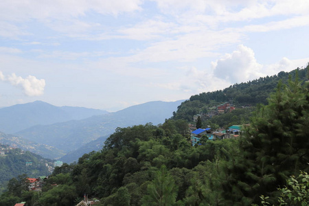 美丽的 自然 阿尔卑斯山 小山 夏天 地平线 高的 森林