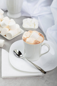 Hot chocolate with marshmallows. 