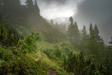 奥地利阿尔卑斯山的徒步旅行者在湖边的树林里走着山路照片