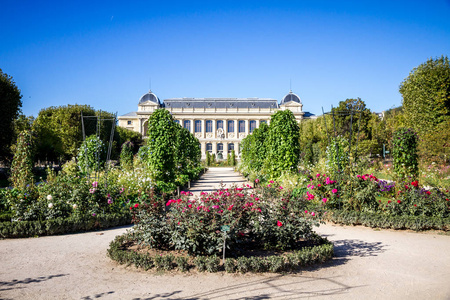 法国巴黎植物园和博物馆图片
