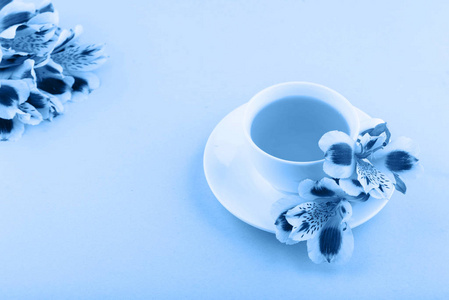 美丽的天南星花。在蓝色背景的白色杯子和白色碟子里放着凉茶