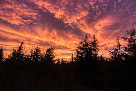 日出时美丽的红云在黑森林的山里