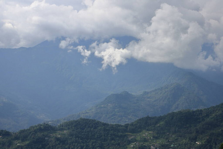 全景图 森林 美丽的 旅行 地平线 小山 夏天 高的 岩石