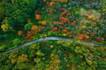 令人叹为观止的鸟瞰公路与汽车之间的多彩秋林