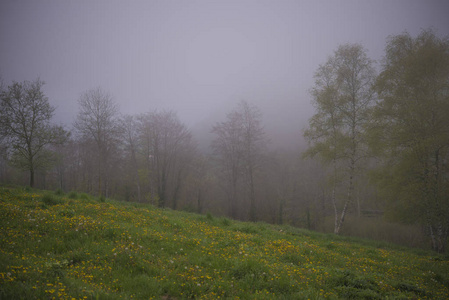 山林水景