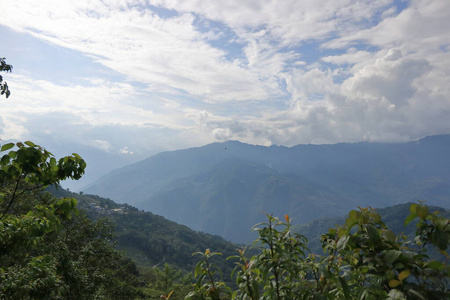 天空 森林 美丽的 全景图 夏天 高的 自然 岩石 阿尔卑斯山