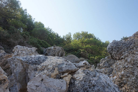 旅行者 风景 岩石 范围 旅行 旅游业 环境 清洁 公园