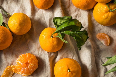 生橙有机柑桔